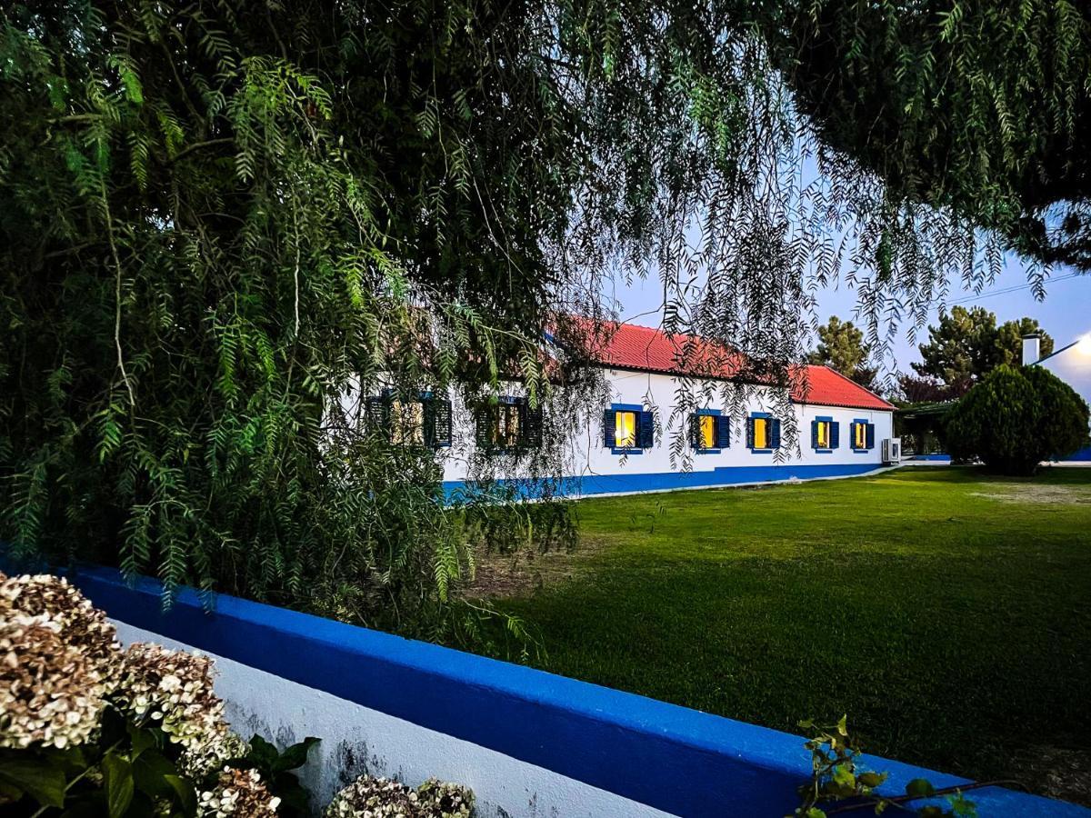 Quinta Do Cutato - Beatriz Guest House - Sotao Santo Estevao  Exterior foto